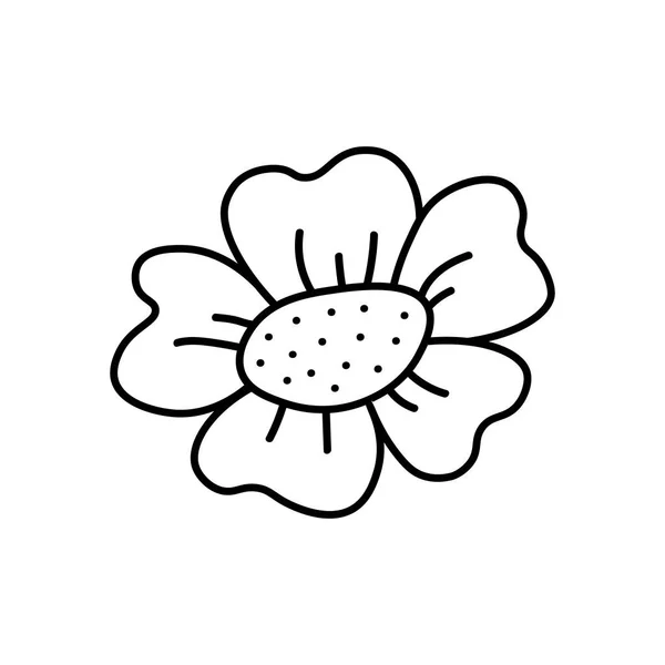 Daisy Blume Symbollinie Kräutertee Kamille Konturzeichnung Für Design Logo Postkarte — Stockvektor