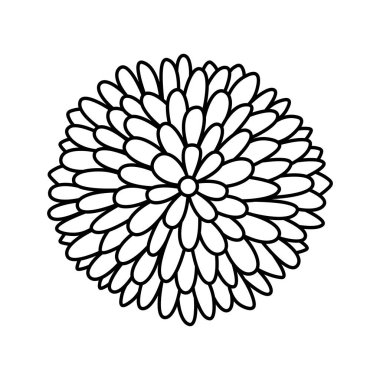 Paskalya ve kasımpatı tomurcukları. Boyama kitabı. Bahçe çiçeği. Arkaplanda karalama biçiminde vektör illüstrasyonu izole edildi.