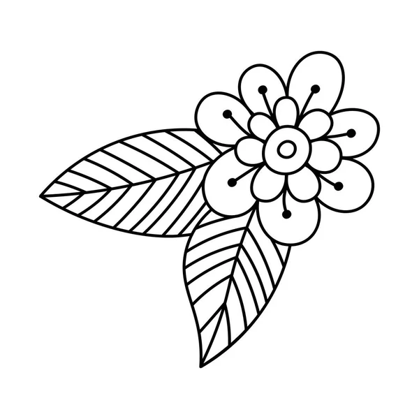 Daisy Blume Symbollinie Kräutertee Kamille Konturzeichnung Für Design Logo Postkarte — Stockvektor