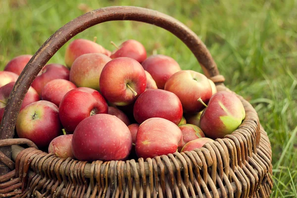 Red apple — Stock Photo, Image