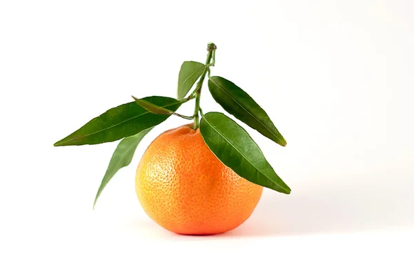 Tangerine aux feuilles — Photo