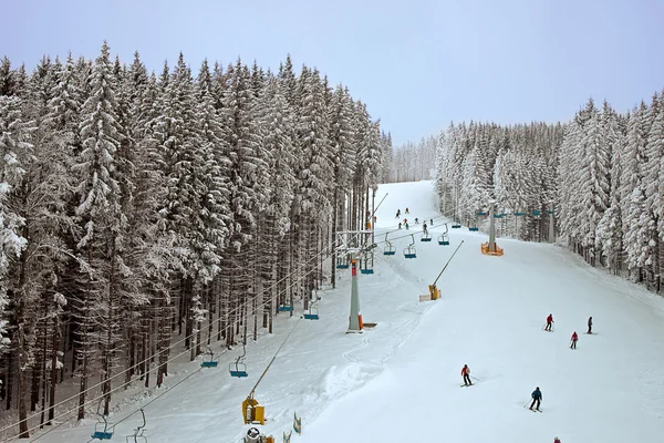 Winter snowy forest and a chairlift for skiers — Stock Photo, Image