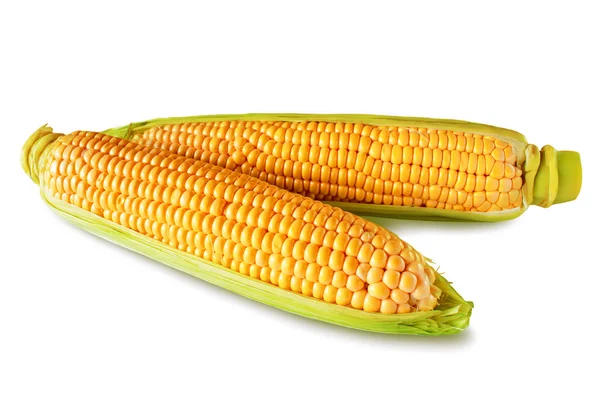 Corn — Stock Photo, Image