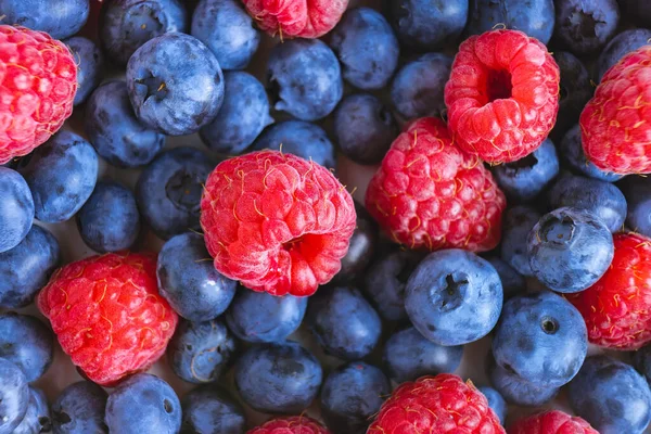Fresh berry background. Texture of mixture raspberry and blueberry berries close up — Stock Photo, Image