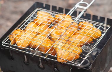 Izgarada kuş eti. Tavuk, hindi, ördek, bıldırcın, güvercin kanatları. Beslenme mutfağı için popüler restoran tarifleri. Aile yemeği ve dinlenme, piknik, barbekü, ızgara. Şenlikli kuş yemeği..