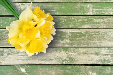 Sarı nergis buketi, yeşil ahşap arka planda narkissus ve fotokopi alanı. Model, tatil için şablon, doğum günü, sarı arka planda anneler günü. Üst görünüm, kopyalama alanı olan düz uzanma