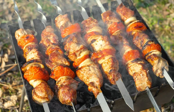 Grilled fried pork meat, pieces of meat on skewers. — Stock Photo, Image