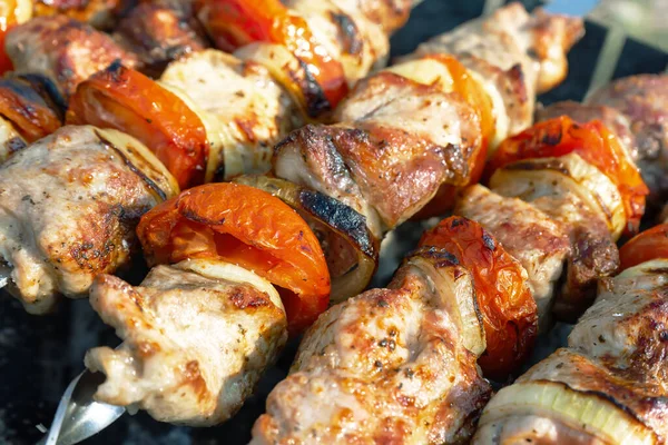 Kızarmış domuz eti, şiş üstünde et parçaları..