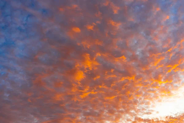 Blue dark sky with orange clouds on sunset . Beauty orange cloudy sky in sudown calm evening air bacground. Natural background texture, backdrop, wallpaper, element for design