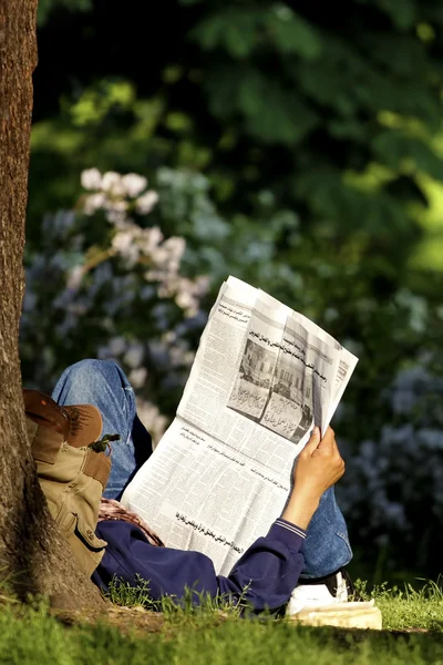 vatandaş dünya okuyucu