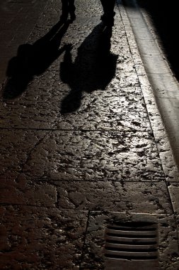 verona elinde tutan