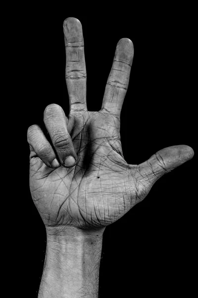 La mano sobre la palma negra - tres — Foto de Stock
