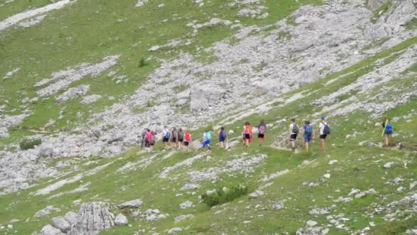 Passeggiata Fila Sentiero Alta Montagna Che Snoda Attraverso Erba Verde — Video Stock