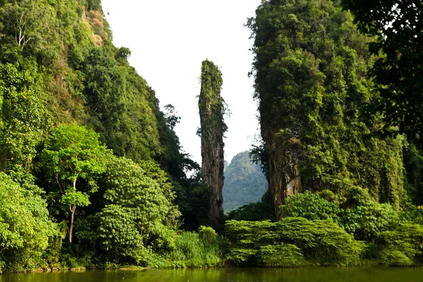 Doğal kireçtaşı uçurumun ve dağ tambun, Ipoh, Malezya