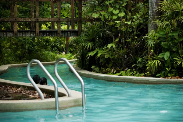 Jungle Swimming pool at Resort — Stock Photo, Image