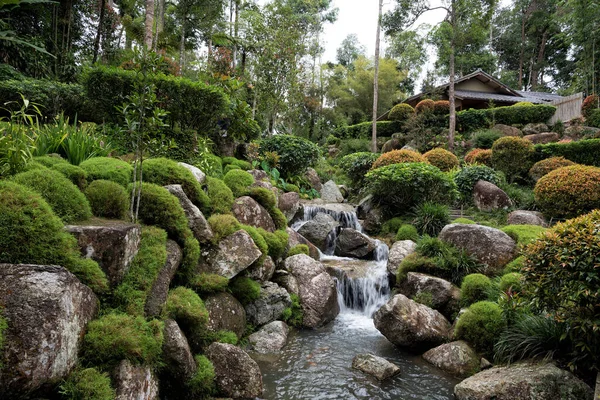 Beroemd Botanisch Japans Dorp Tropisch Regenwoud Bukit Tinggi Maleisië Japans — Stockfoto