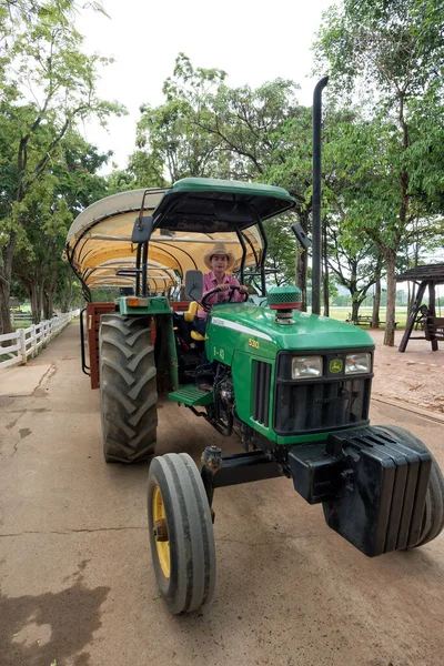 Cowgirl Conduisant Vieux Tracteur Ferguson Sur Ferme Chokchai Pak Chong — Photo
