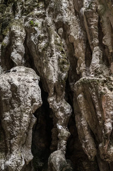 马来西亚黑暗洞穴的钟乳石和石笋 黑暗洞穴至少有1亿年的历史 它周围的石灰石最初是由贝壳和珊瑚形成的 当时整个区域都在水下 — 图库照片