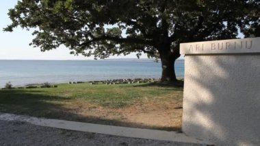 Anzak Koyu, Ar? Burnu