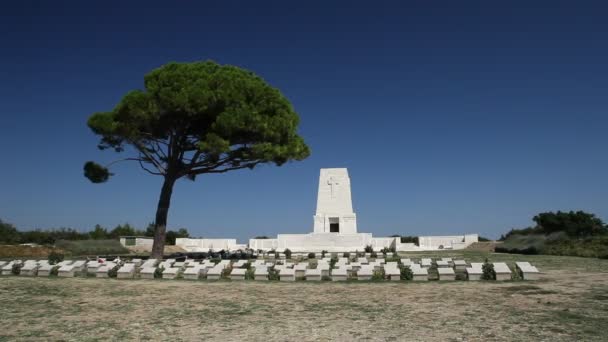 Απομονωμένο πεύκο — Αρχείο Βίντεο