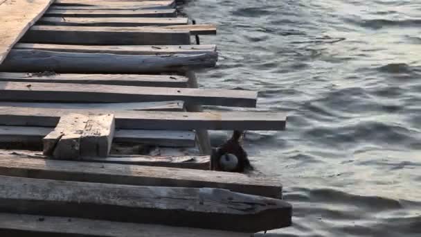 Quai en bois ,