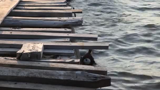 Cais de madeira , — Vídeo de Stock