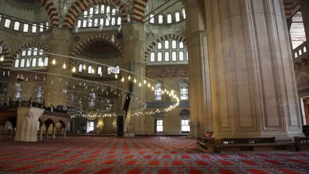 De selimiye-moskee — Stockvideo