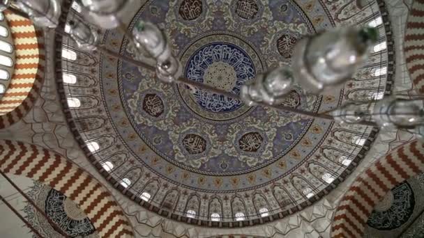 Die Selimiye-Moschee — Stockvideo