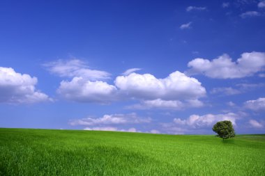 tarım arazileri