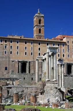 Forum