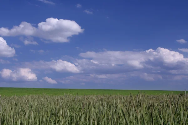 Zemědělské půdy — Stock fotografie