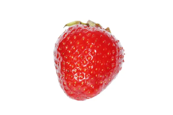 Fragola — Foto Stock