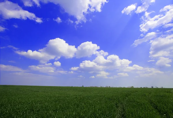 Terreni agricoli — Foto Stock