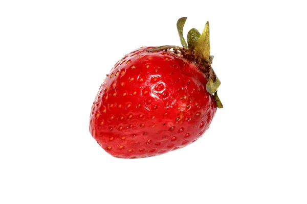 Fragola — Foto Stock