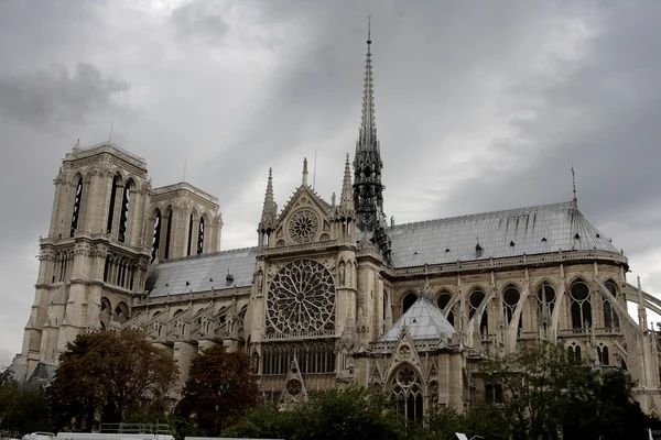 Notre-dame — Stockfoto