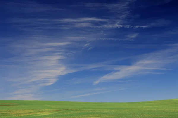 Farmlands — Stock Photo, Image