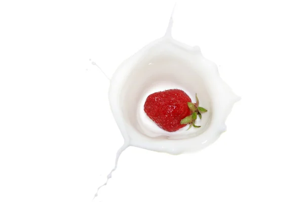 Fragola — Foto Stock