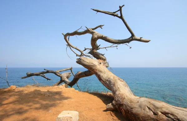 Mediterrâneo — Fotografia de Stock