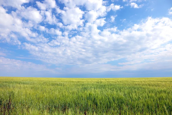 Zemědělské půdy — Stock fotografie