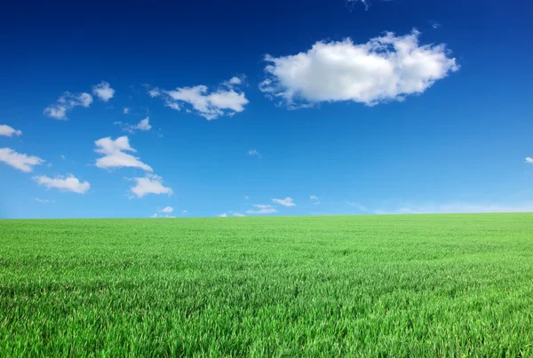 Farmlands — Stock Photo, Image