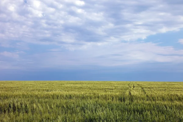 Jordbruksmark — Stockfoto