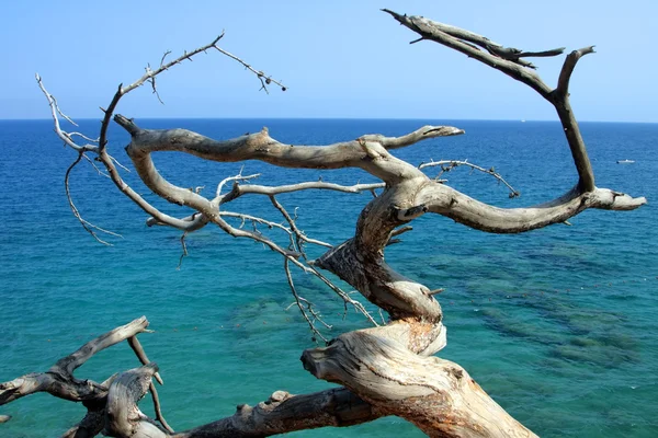 Mediterrâneo — Fotografia de Stock