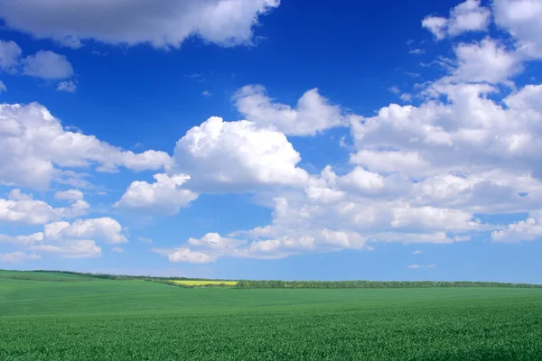 Tierras agrícolas — Foto de Stock