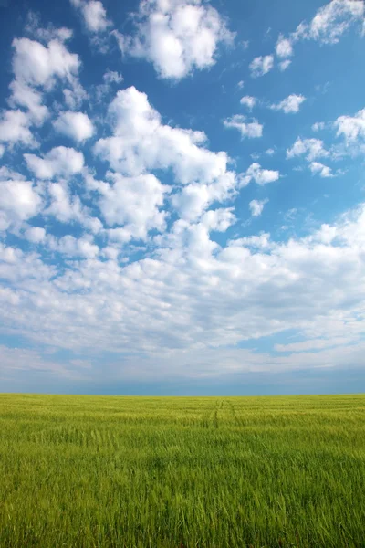 Farmlands — Stock Photo, Image