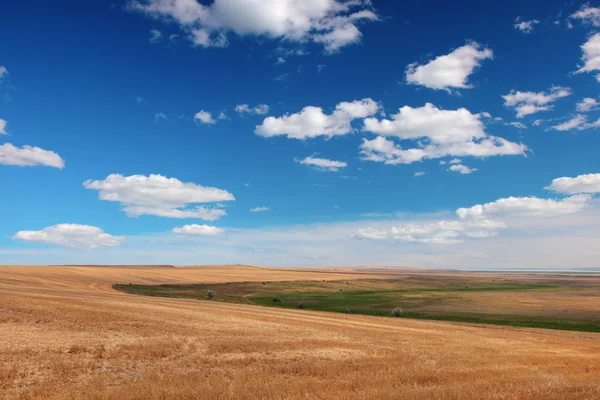 Haystack. — Fotografia de Stock