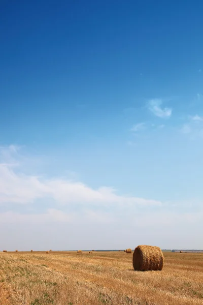 Haystack — Stock Photo, Image