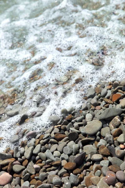 Pebble — Stock Photo, Image