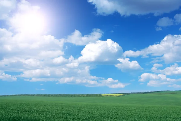 Farmlands — Stock Photo, Image