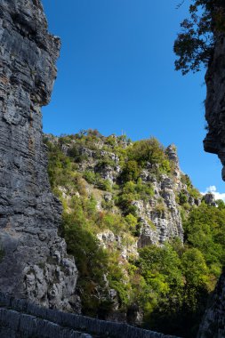 Vikos