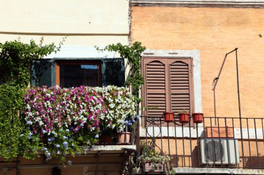 pencere